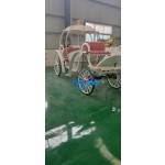 Wedding Carriage Manufacturer - Fantasy Princess Pumpkin Carriage