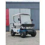 Electric Golf Cart Manufacturer - 8 Passenger 6+2 Seater Buggy