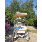 Wedding Carriage Manufacturer - Competitive Price Pumpkin Carriage