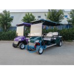 Electric Golf Cart Manufacturer - 2 4 6 Seater 72V Lithium Custom