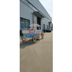 Wedding Carriage Manufacturer - Graceful Princess Horse Carriage