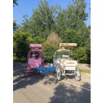 Pumpkin Carriage Factory - Mobile Electric Wedding Wagon