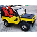 Off-Road Buggy Factory - 150/250/350cc 4x4 Gasoline/Electric