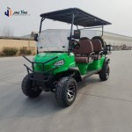 Golf Scooter Manufacturer - Custom Logo Brand Promotion
