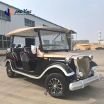 Vintage Vehicle Factory - Jingying Custom 8 Seater Resort
