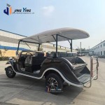 Vintage Vehicle Factory - Jingying Custom 8 Seater Resort