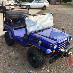 Beach Car Factory - Brand New 4x4 Adult Off-Road