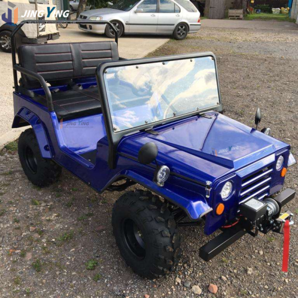 Beach Car Factory - Brand New 4x4 Adult Off-Road