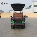 Golf Buggy Manufacturer - 4 Seat High Capacity Battery