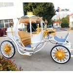 Pumpkin Carriage Manufacturer - Romantic Electric Wedding Vehicle