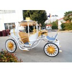 Pumpkin Carriage Manufacturer - Romantic Electric Wedding Vehicle
