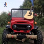 Off-Road Vehicle Manufacturer - 500cc 4x4 Mini Jeep Quad