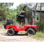 Beach Car Factory - Brand New 4x4 Adult Off-Road