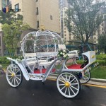Wedding Carriage Factory - Pink Sightseeing Pumpkin Carriage