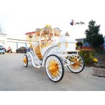 Pumpkin Carriage Manufacturer - Romantic Electric Wedding Vehicle