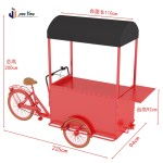 Electric Tricycle Manufacturer - 3-Wheel Cargo 400kg Payload