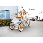 Pumpkin Carriage Manufacturer - Romantic Electric Wedding Vehicle