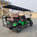 Golf Scooter Manufacturer - Custom Logo Brand Promotion