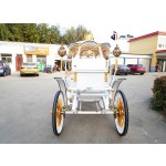 Pumpkin Carriage Manufacturer - Romantic Electric Wedding Vehicle