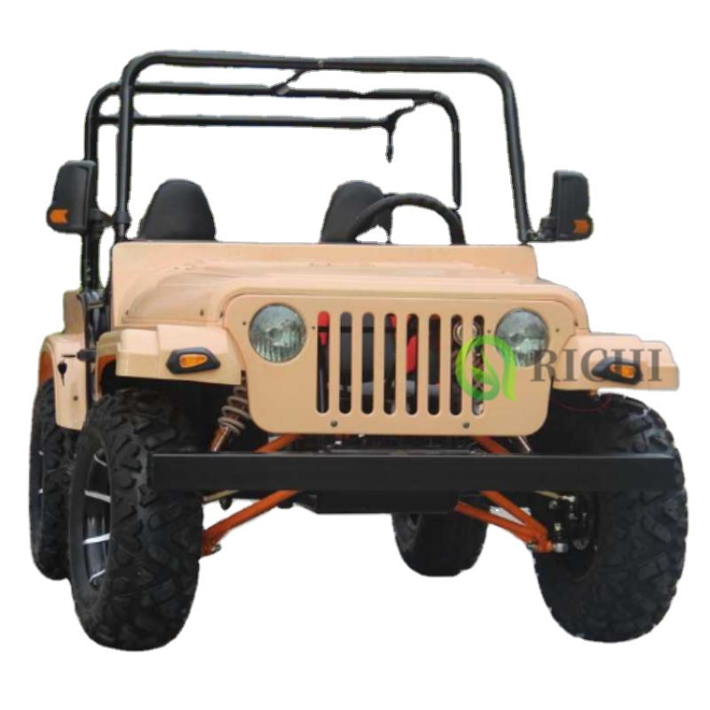 Electric Jeep Factory - Modern Style Color Customized 250cc
