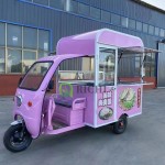 Electric Food Truck Manufacturer - Fast Food Vending Bike