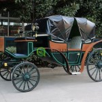 Electric Wedding Carriage Manufacturer - Modern Mini Horse