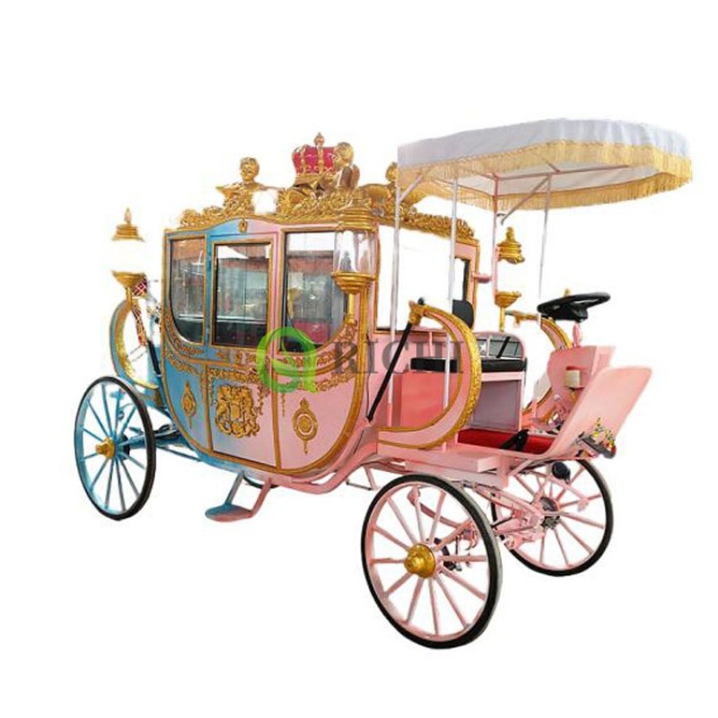 Electric Sightseeing Carriage Manufacturer - 2 Rows Park Amusement