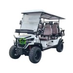 Off Road Golf Cart Manufacturer - 6 Seater Electric Passenger
