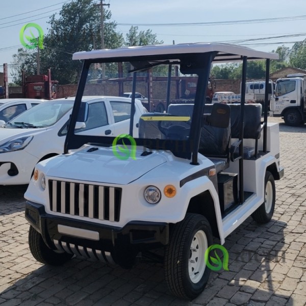 Golf Cart Manufacturer - Custom Color 12 Inch Tires