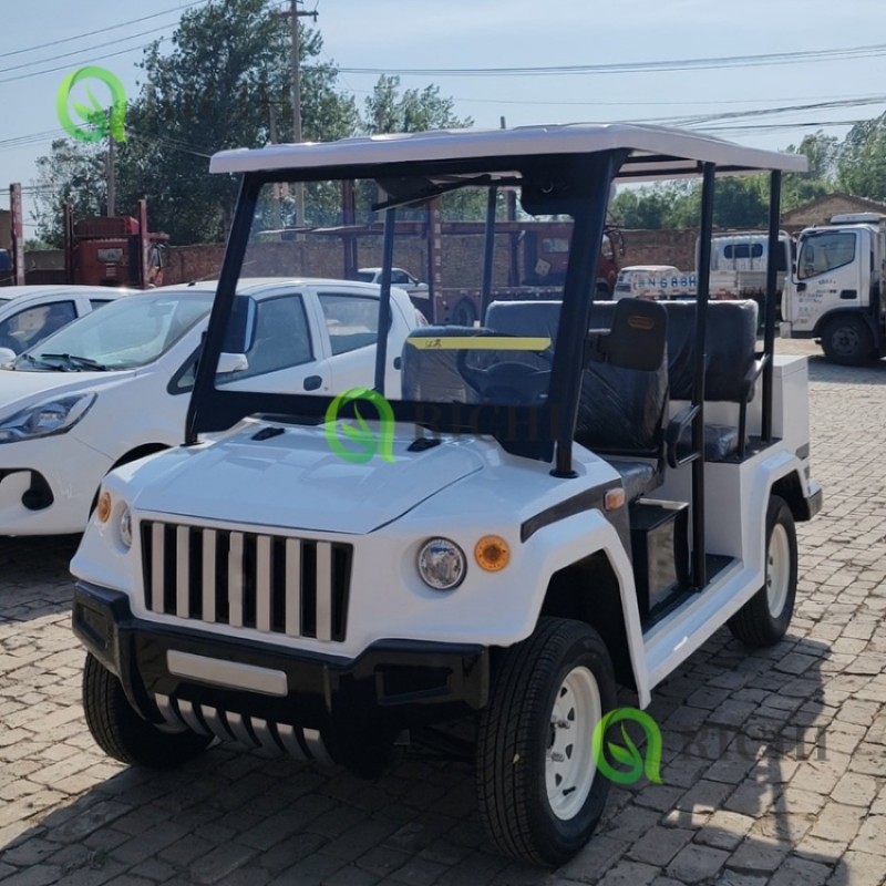 Golf Cart Manufacturer - Custom Color 12 Inch Tires