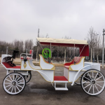 Electric Mara Cart Factory - Sightseeing Wedding Transport