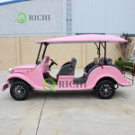 Electric Classic Car Manufacturer - 5 Seater 2 Rows Business