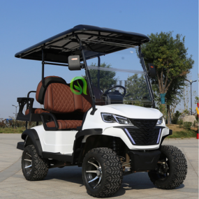 Off Road Golf Cart Manufacturer - 6 Seater Electric Passenger
