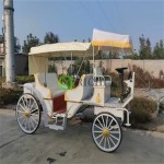 Electric Mara Cart Factory - Sightseeing Wedding Transport