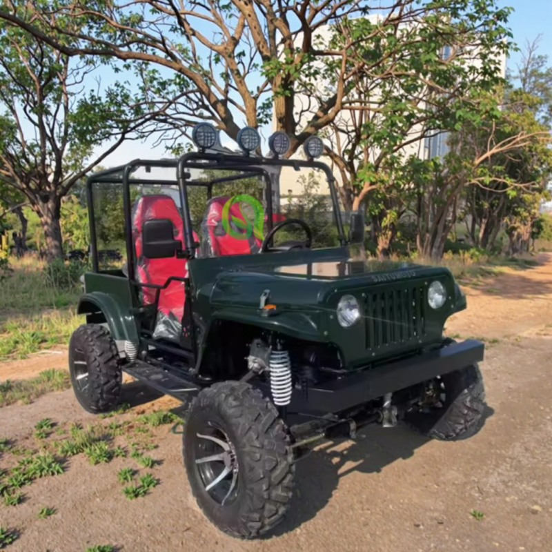 Electric Jeep Manufacturer - 250cc High Speed Adults Kids