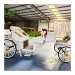 Sightseeing Carriage Manufacturer - Luxury Pink Steel Cart
