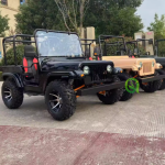 Electric Jeep Factory - Modern Style Color Customized 250cc