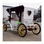 Sightseeing Carriage Manufacturer - Rubber Mara Electric Buggy