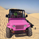 Electric Jeep Manufacturer - 250cc High Speed Adults Kids