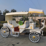 Electric Mara Cart Factory - Sightseeing Wedding Transport