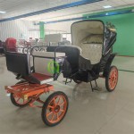 Horse Buggy Factory - Tourist Electric Carriage Business