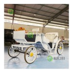 Sightseeing Carriage Manufacturer - Luxury Pink Steel Cart