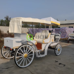 Electric Mara Cart Factory - Sightseeing Wedding Transport