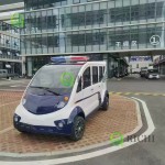 Electric Golf Cart Manufacturer - Vintage Lithium Battery