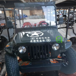 Electric Jeep Manufacturer - 250cc High Speed Adults Kids