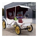 Sightseeing Carriage Manufacturer - Rubber Mara Electric Buggy