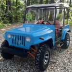 Electric Jeep Manufacturer - 250cc High Speed Adults Kids