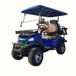 Off Road Golf Cart Manufacturer - 6 Seater Electric Passenger