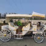 Electric Mara Cart Factory - Sightseeing Wedding Transport