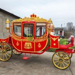 Electric Sightseeing Carriage Manufacturer - 2 Rows Park Amusement